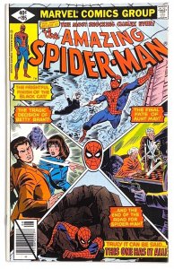 The Amazing Spider-Man #195 (1979)