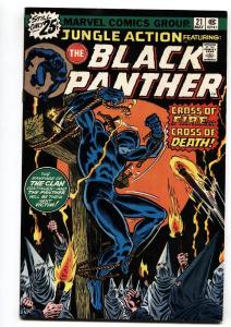 Jungle Action #21  Black Panther vs. Klan KKK cover VF-