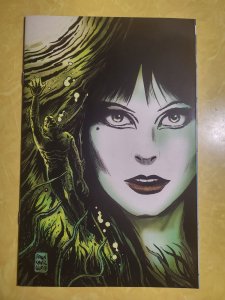 Elvira: The Shape of Elvira #2 Cover E (2019)