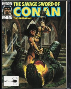 The Savage Sword of Conan #173 (1990) Conan