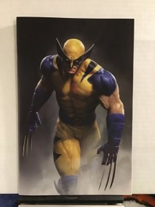 Wolverine #4 Virgin Cvr