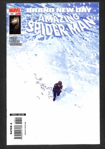 The Amazing Spider-Man #556 (2008)