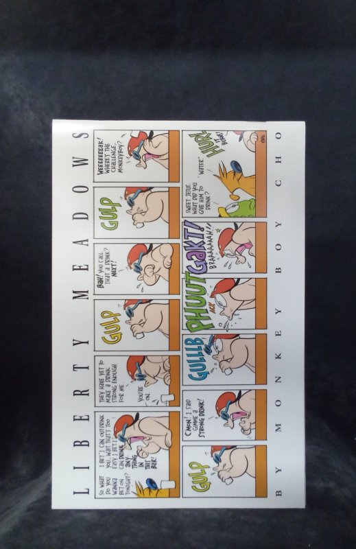 Liberty Meadows #34 (2003)