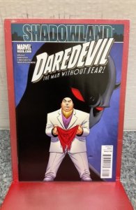 Daredevil #510 (2010)