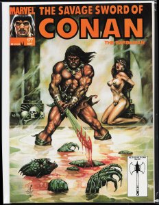 The Savage Sword of Conan #177 (1990) Conan