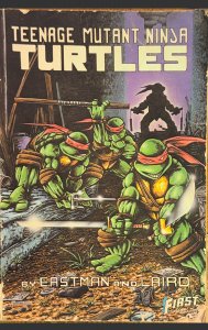 Teenage Mutant Ninja Turtles Graphic Novel #1 (1986)