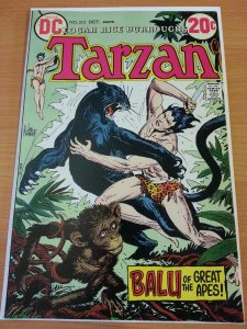 Tarzan #213 ~ FINE FN ~ 1972 DC COMICS