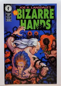 By Bizarre Hands #2 (May, Dark Horse) 6.5 FN+