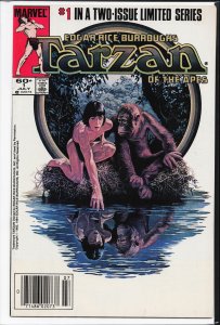 Tarzan of the Apes #1 (1984) Tarzan