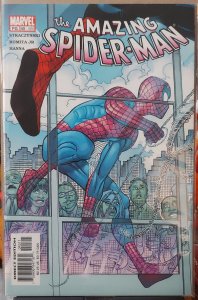 The Amazing Spider-Man #45 (2002)