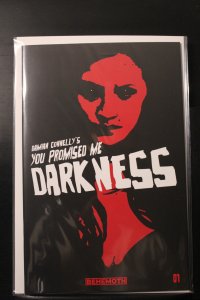 You Promised Me Darkness #3 (2021)