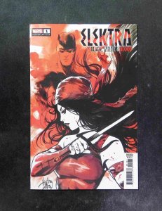 Elektra Black White and Blood #1C  Marvel Comics 2022 NM  Andolfo Variant