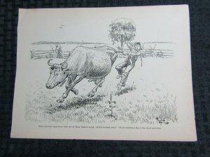 1910 YESTERDAYS Comic Strip by Frank King 10x7 pg.36 FN 6.0 CRINKLY BACKED COW