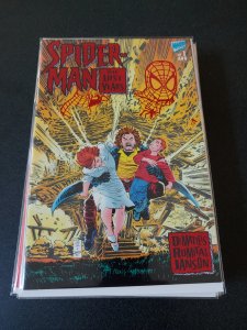 Spider-Man: The Lost Years #1 (1995)