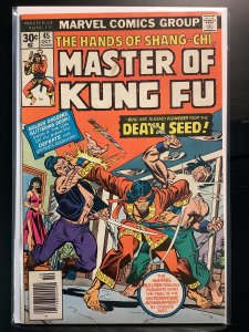 Master of Kung Fu #45 (1976)