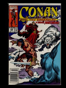 Conan the Barbarian #246,251,252,253,254,255,256,257,258,259,260 (1991)
