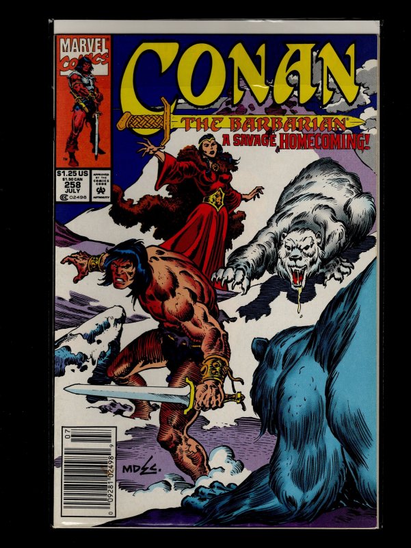 Conan the Barbarian #246,251,252,253,254,255,256,257,258,259,260 (1991)