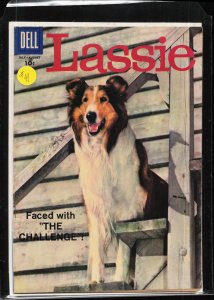 Lassie #41