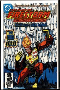 The Fury of Firestorm #34 (1985) Firestorm