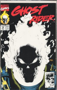 Ghost Rider #15 (1991) Ghost Rider
