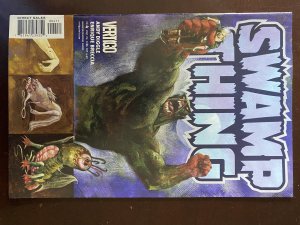 Swamp Thing #4 (2004)