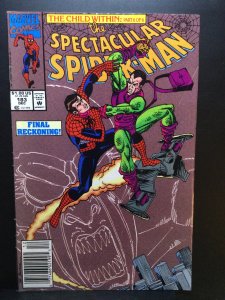 The Spectacular Spider-Man #183 (1991)