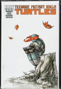 Teenage Mutant Ninja Turtles #30 (2014)