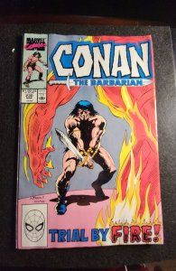 Conan the Barbarian #230 (1990) buy 1 get a surprise book free