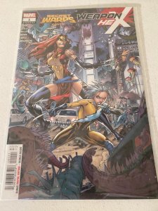 Secret Warps 1 2 3 4 5 Soldier Supreme Weapon Hex Iron Hammer Ghost Panther