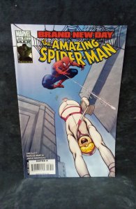 The Amazing Spider-Man #559 (2008)