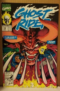 Ghost Rider #19 (1991)