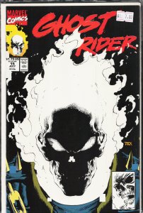 Ghost Rider #15 (1991) Ghost Rider