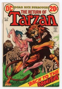 Edgar Rice Burroughs' Tarzan #221 Joe Kubert FN+