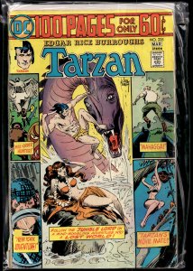 Edgar Rice Burroughs' Tarzan #235 (1975)