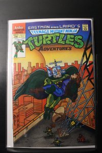 Teenage Mutant Ninja Turtles Adventures #21 Direct Edition (1991)