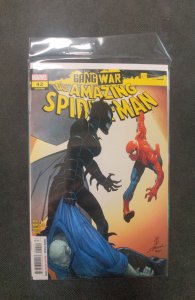 The Amazing Spider-Man #42 (2024)