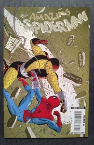 The Amazing Spider-Man #579 (2009)