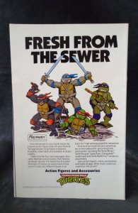 Teenage Mutant Ninja Turtles Adventures #1 (1989)