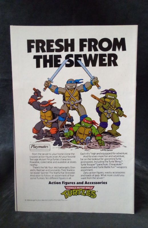 Teenage Mutant Ninja Turtles Adventures #1 (1989)