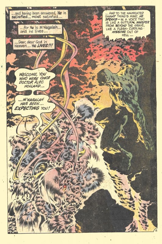 DC SPECIAL SERIES #20 (Jan1980) 8.0 VF  Wein & Wrightson!  Reprints SWAMPY 8-10