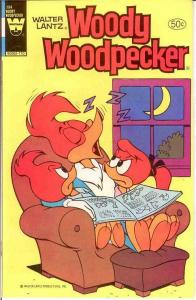 WOODY WOODPECKER 194 VF-NM  1981 COMICS BOOK