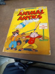 ANIMAL ANTICS #27 THE RACOON KIDS 1950 DC comics Golden age funny animal cartoon