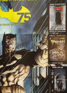 75 YEARS OF BATMAN  Promo Poster, 22 x 34, 2014, DC Unused more in our store 546