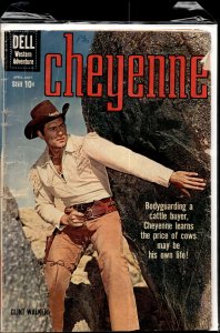 Cheyenne #15 (1960) Cheyenne Bodie