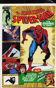 The Amazing Spider-Man #259 (1984) Spider-Man