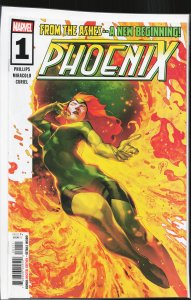 Phoenix #1 (2024) Phoenix
