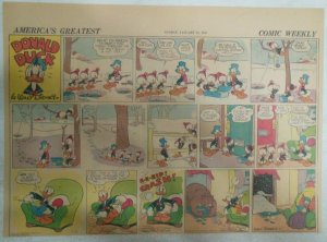 (51) Donald Duck Sunday Pages by Walt Disney from 1942 Half Page Size