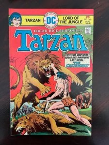 Edgar Rice Burroughs' Tarzan #240 (1975)