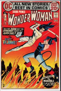Wonder Woman #201 (1972) Wonder Woman
