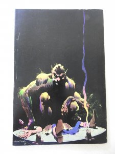 DC 100-Page Super Spectacular #4 (1971) FN Condition!